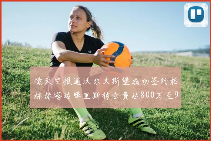 德天空报道沃尔夫斯堡成功签约柏林赫塔边锋里斯转会费达800万至900万欧元