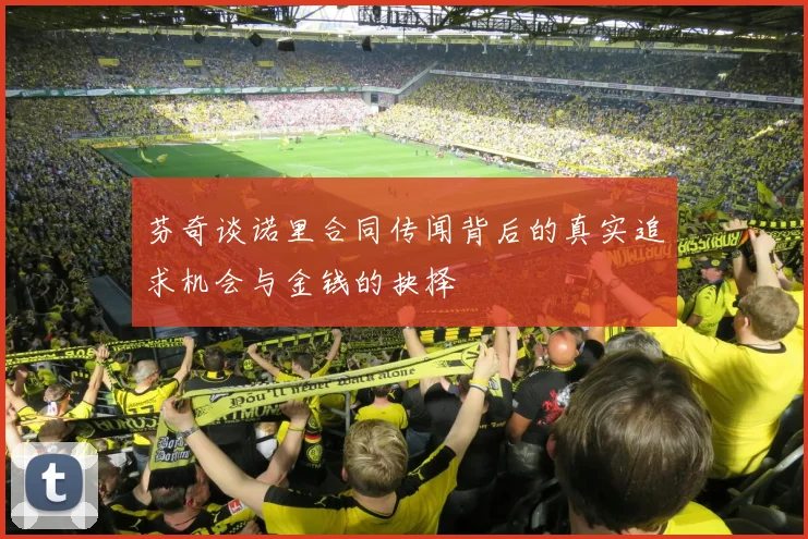 芬奇谈诺里合同传闻背后的真实追求机会与金钱的抉择